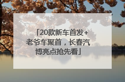 20款新车首发+老爷车聚首，长春汽博亮点抢先看