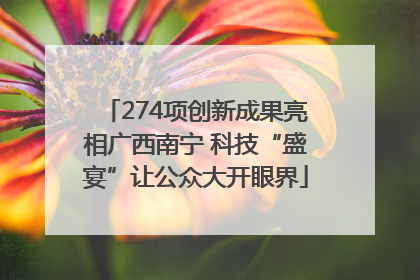 274项创新成果亮相广西南宁 科技“盛宴”让公众大开眼界