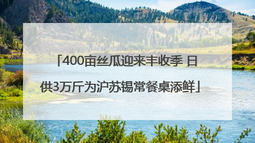 400亩丝瓜迎来丰收季 日供3万斤为沪苏锡常餐桌添鲜