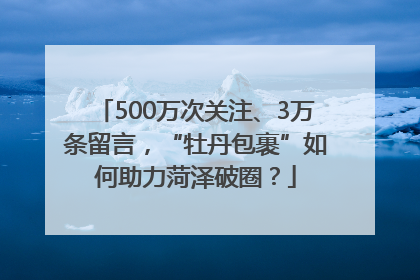 500万次关注、3万条留言，“牡丹包裹”如何助力菏泽破圈？
