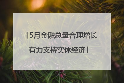 5月金融总量合理增长 有力支持实体经济