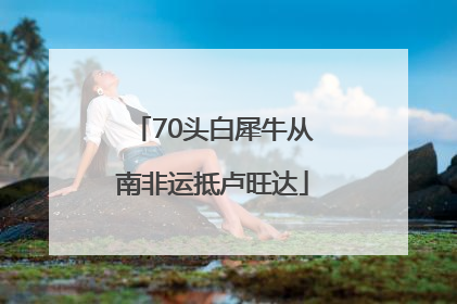 70头白犀牛从南非运抵卢旺达