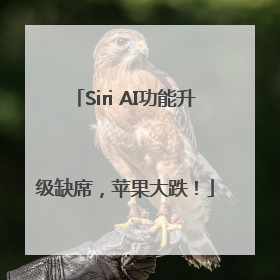 Siri AI功能升级缺席，苹果大跌！