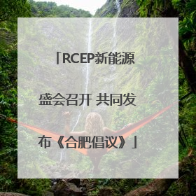 RCEP新能源盛会召开 共同发布《合肥倡议》
