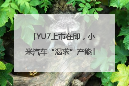 YU7上市在即，小米汽车“渴求”产能